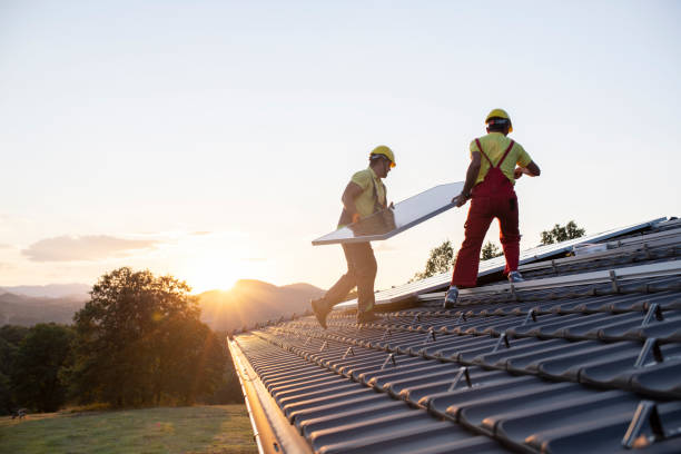 Best Roof Moss and Algae Removal  in Zumbrota, MN