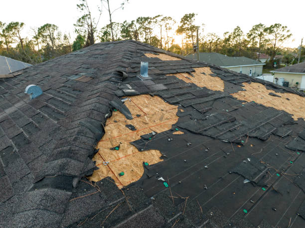 Best Roof Insulation Installation  in Zumbrota, MN