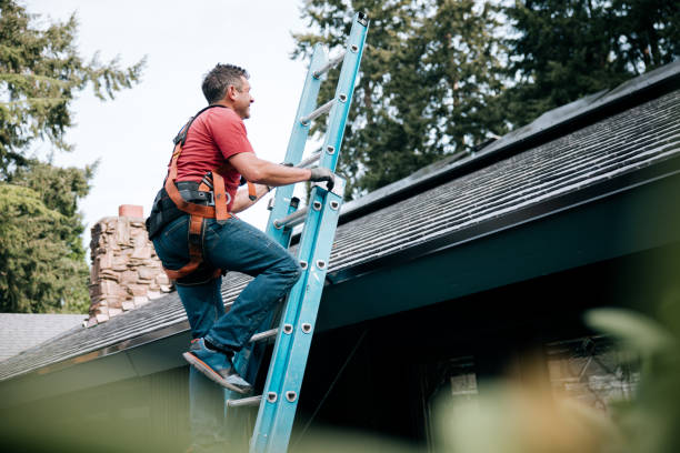 Best Skylight Installation and Repair  in Zumbrota, MN