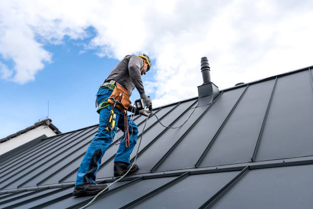 Best Commercial Roofing Services  in Zumbrota, MN