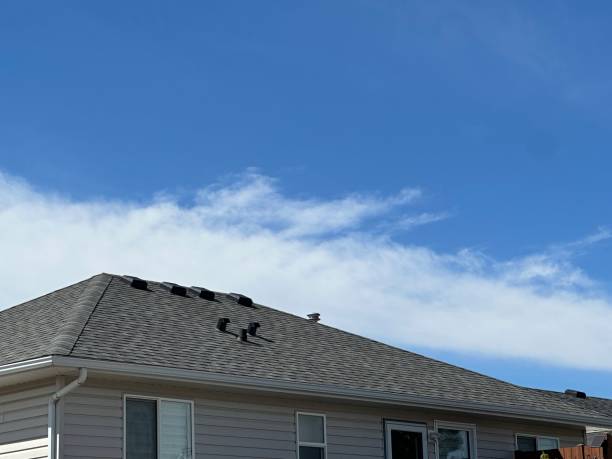 Best Chimney Flashing Repair  in Zumbrota, MN